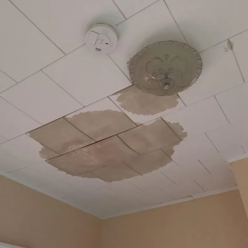 Ceiling Water Damage Repair in Lincoln Park, MI