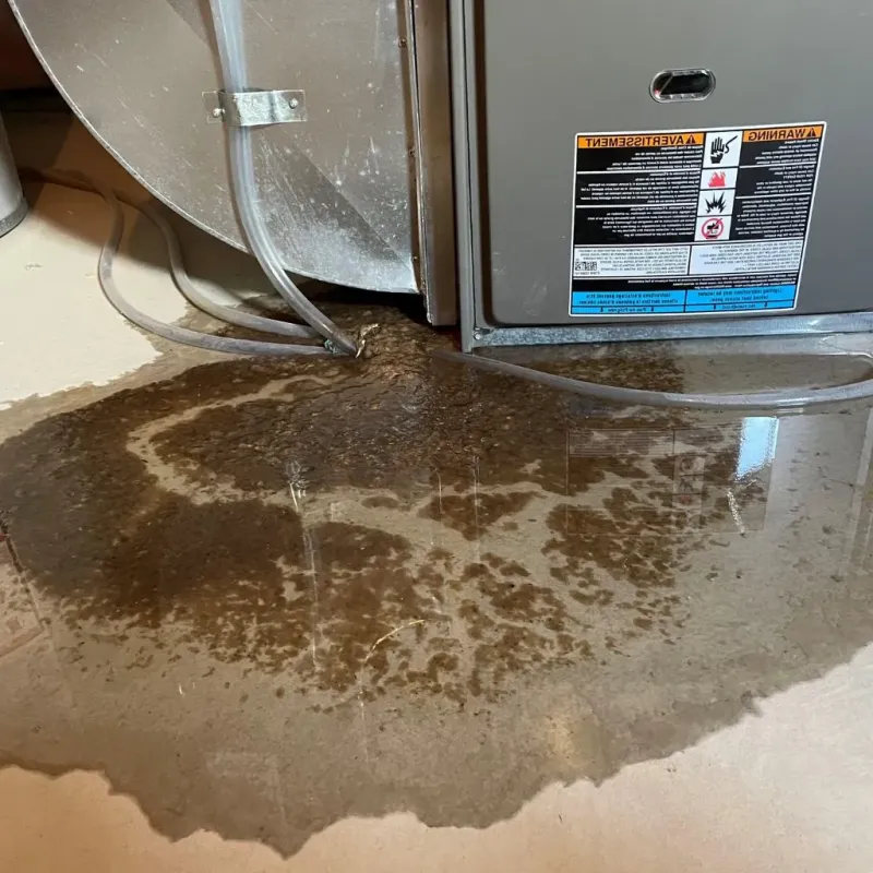 Pipe Burst and Leak Restoration in Lincoln Park, MI