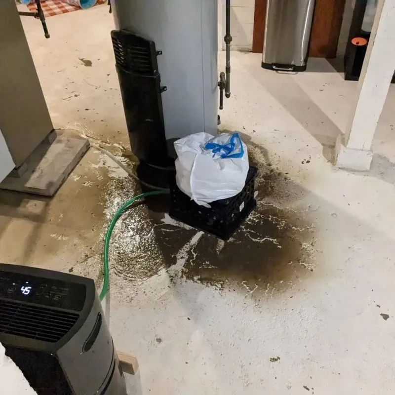 Sewage Backup Cleanup Service in Lincoln Park, MI
